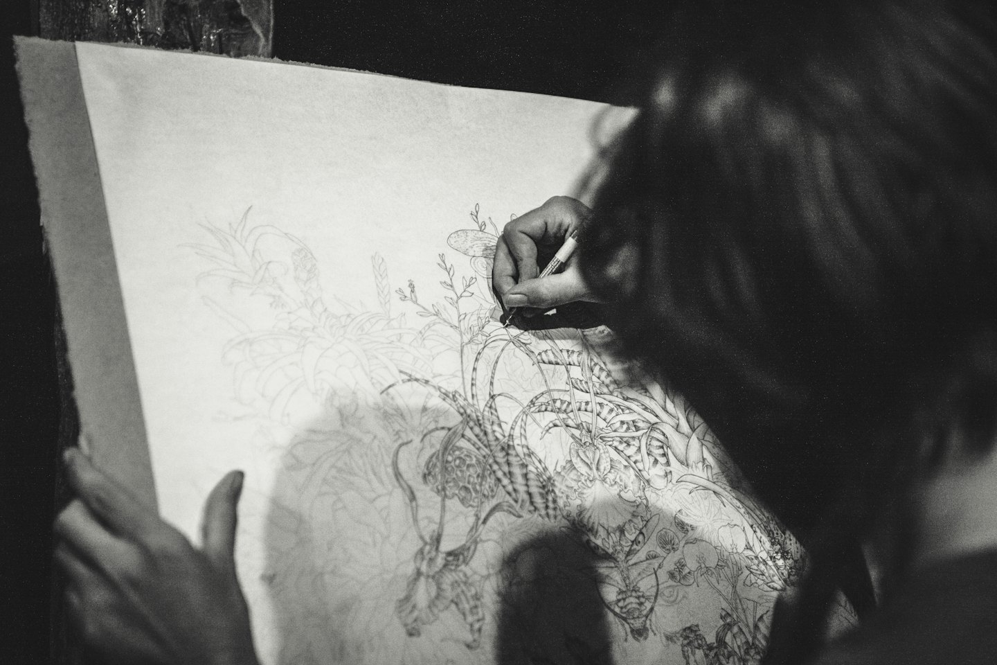 Mani di artista che disegnano dettagli botanici intricati con una penna.